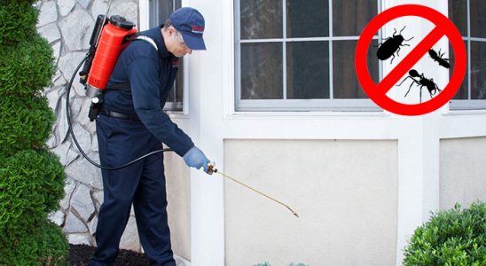 Pertek Karınca İlaçlama böcek ilaçlama ve haşere kontrolü — ilaclama-tr.com